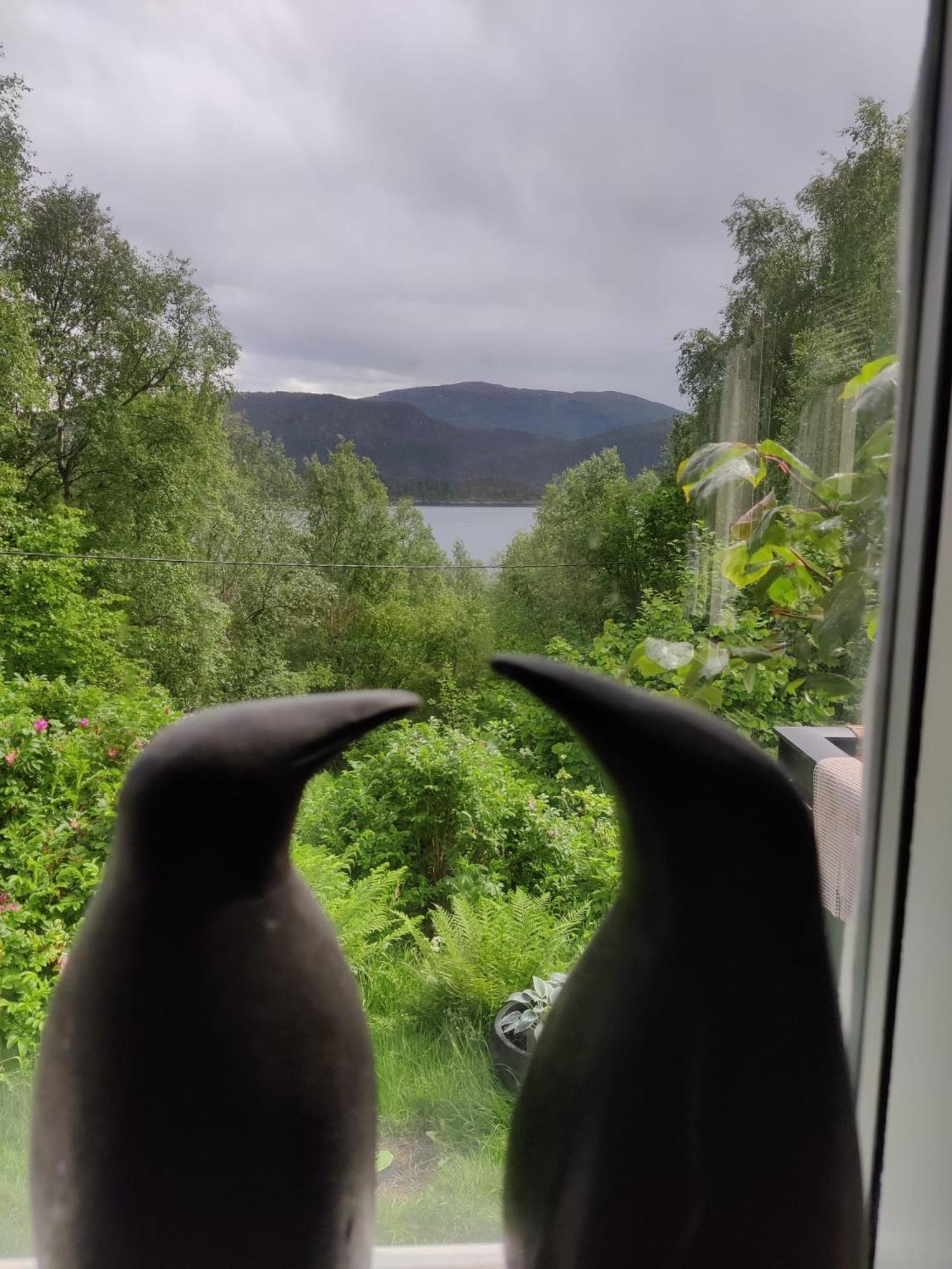 Fjord Peace Villa Skodje Kültér fotó